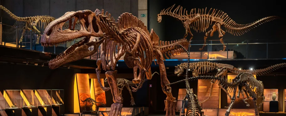 Museo de la ciencia en Barcelona con adolescentes